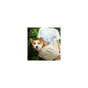 Dog Carrier Bag Adjustable Pet Carrier Bag For Small Medium Pets, Perfect For Outdoor Activities V1188-MS-227-0651