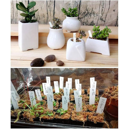 100 pcs Plastic Plant Label, White Plastic Garden Tag 10X2Cm V1188-MS-227-0984