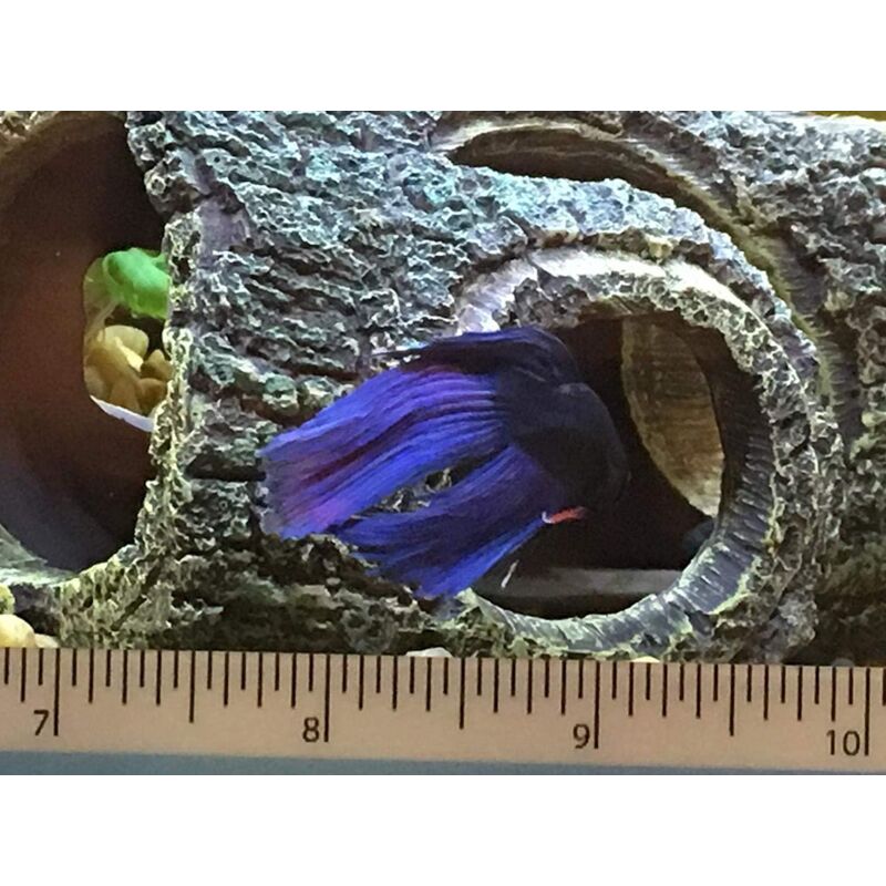 Aquarium Decoration Resin ROot, Aquarium Cave Tree Decoration Artificial Cave For Aquarium Ornaments Home V1188-MS-227-1140