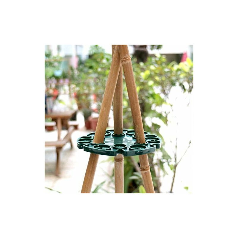 6 Pack Bamboo Stakes Supports For Climbing Plants, Tomato Plants, Cucumbers, Clematis V1188-MS-227-1157