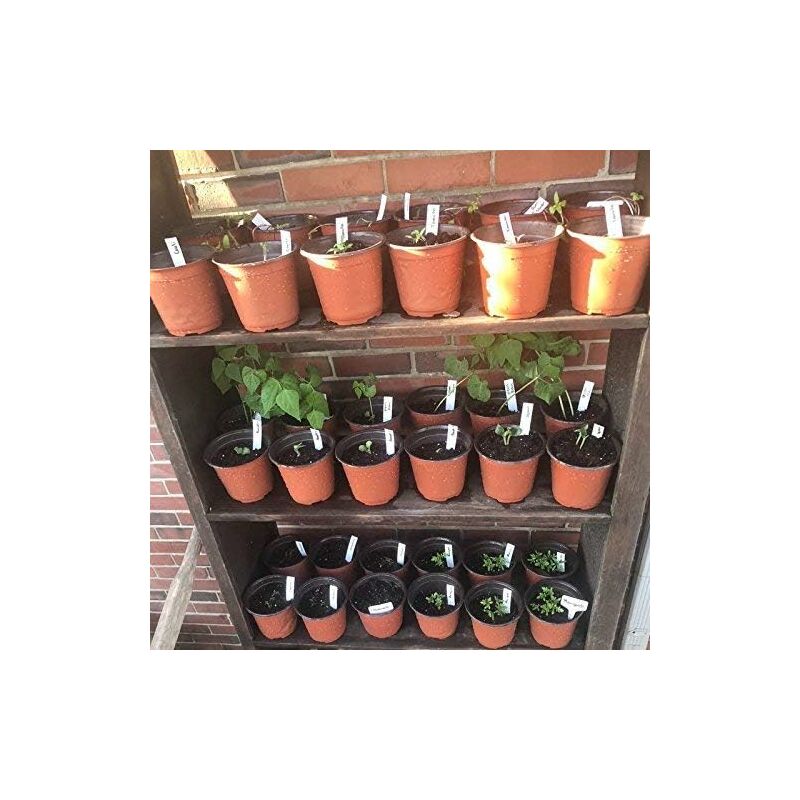 100 pcs 10Cm(Diameter) Soft Plastic Seed Pot Seedling Pot Seedling Pot V1188-MS-227-1195