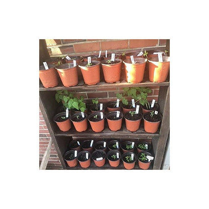 100 pcs 10Cm(Diameter) Soft Plastic Seed Pot Seedling Pot Seedling Pot V1188-MS-227-1195
