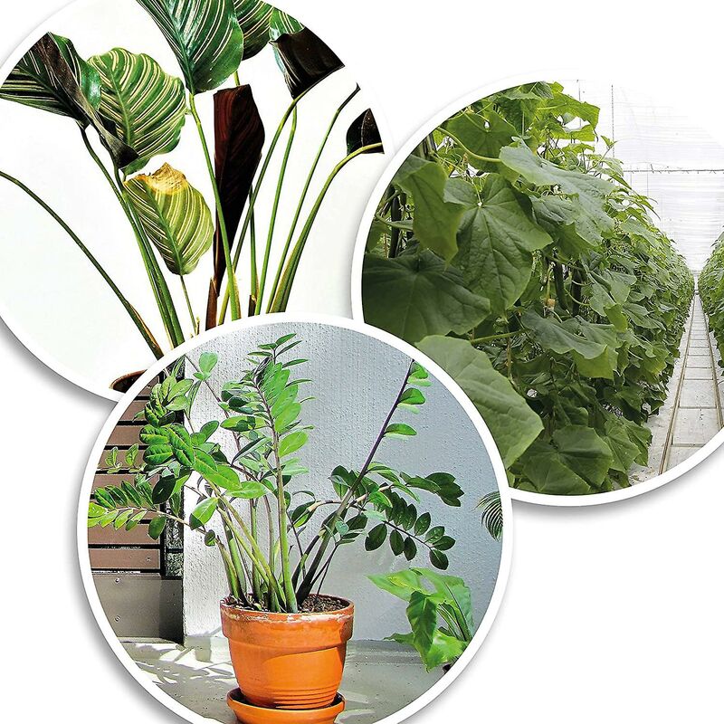 200X Green Plastic Plant Binder - Stabilize Plants - Plant Clips - Plant Stake Clip (13 Cm) V1188-MS-227-1417