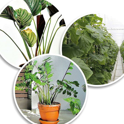 200X Green Plastic Plant Binder - Stabilize Plants - Plant Clips - Plant Stake Clip (13 Cm) V1188-MS-227-1417