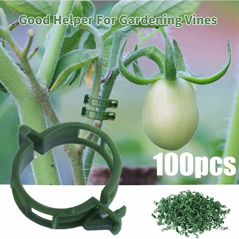 100 pcs Plant Support Clips Tomato Clips Ties Twine Vine Trellis Cages Climbing Plants Vegetables 2.5Cm V1188-MS-227-1561