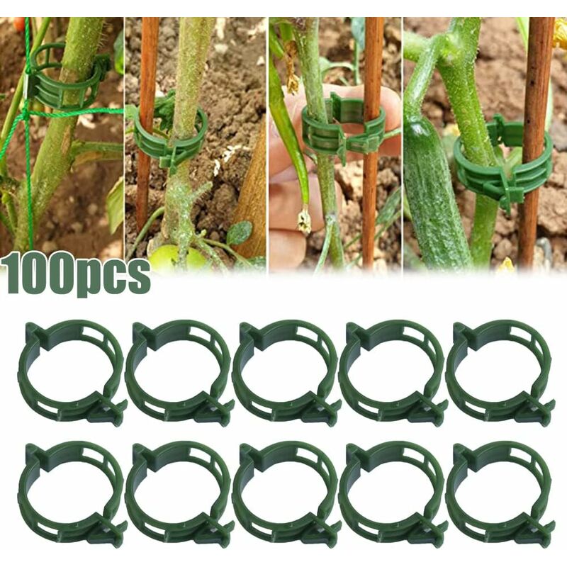 100 pcs Plant Support Clips Tomato Clips Ties Twine Vine Trellis Cages Climbing Plants Vegetables 2.5Cm V1188-MS-227-1561