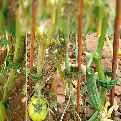 100 pcs Plant Support Clips Tomato Clips Ties Twine Vine Trellis Cages Climbing Plants Vegetables 2.5Cm V1188-MS-227-1561