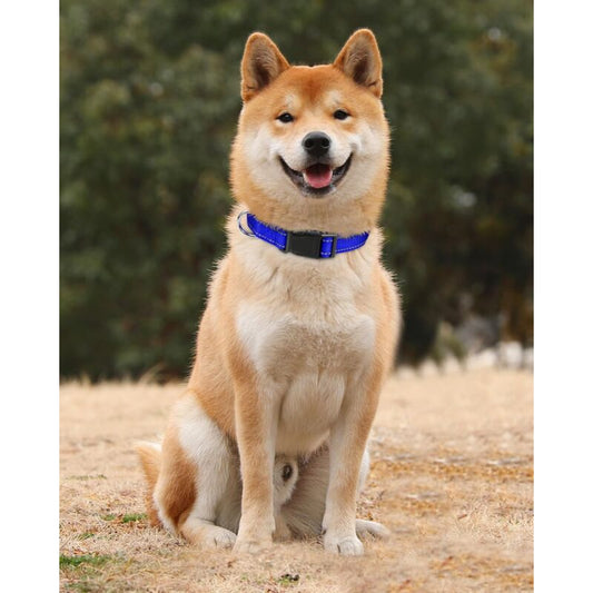 Dog Collar, Classic Adjustable Reflective Nylon Collar Suitable For Medium Dogs, DArk Blue, 2.5Cm Width V1188-MS-227-1652