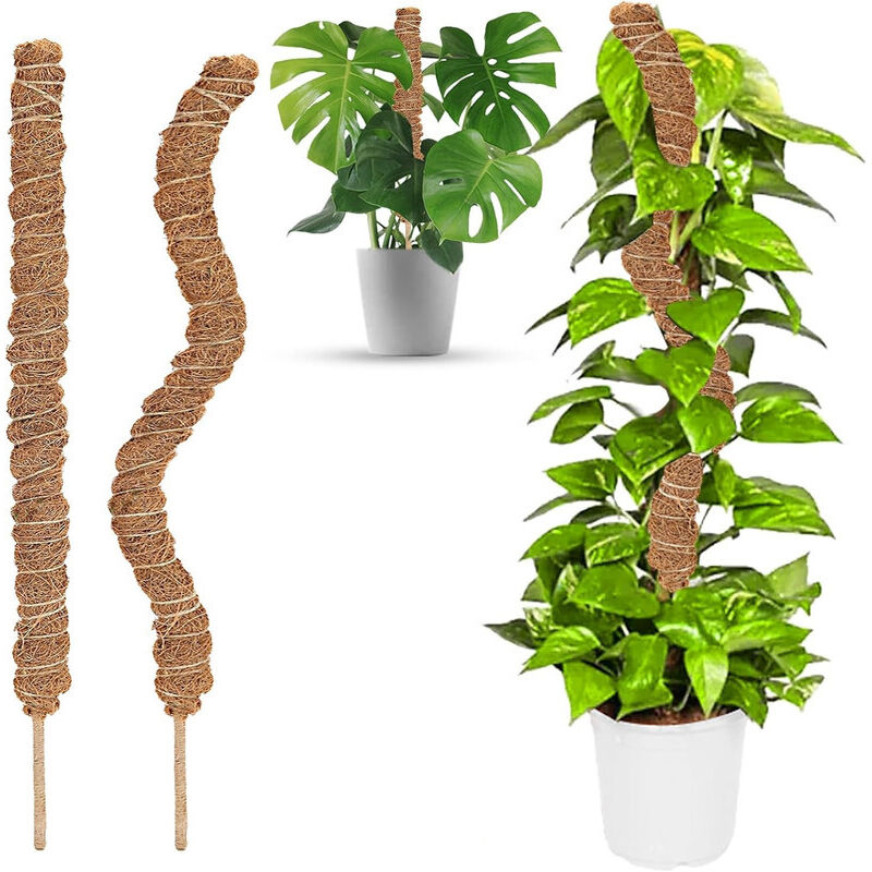 2 pcs Foldable Plant Stake, 60Cm Long Plant Stake Coco Climbing Plant Support, Climbing Plant Support For V1188-MS-227-1659