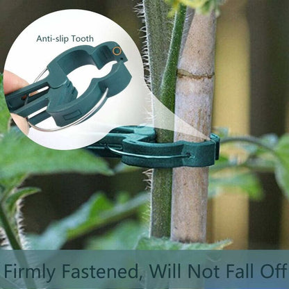 100 pcs Plant Clips, Spring Clips Plant Support For Tomatoes And Vine Vegetables V1188-MS-227-1665