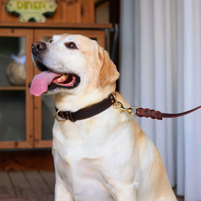 Premium Genuine Leather Dog Collar/Durable Real Leather Adjustable Collars For Male Female (size: L) V1188-MS-227-1674-3