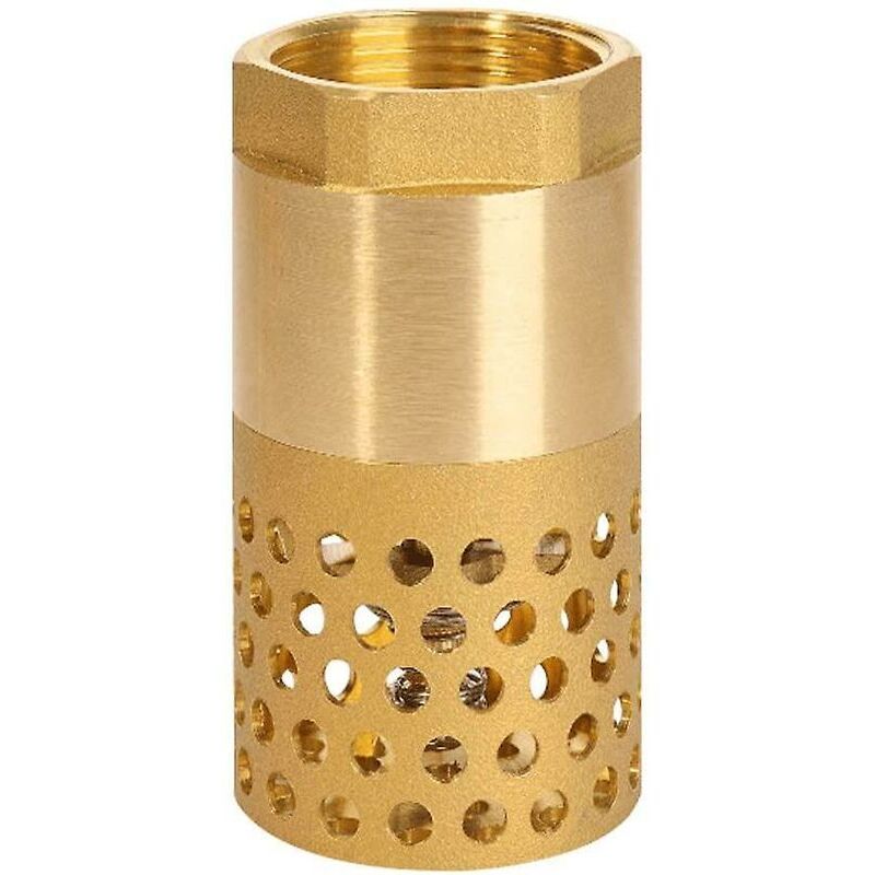 1 Inch Pump Check Valve - Foot Valve Strainer Check Valve (1 Inch) V1188-MS-227-1746