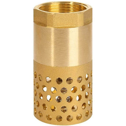 1 Inch Pump Check Valve - Foot Valve Strainer Check Valve (1 Inch) V1188-MS-227-1746