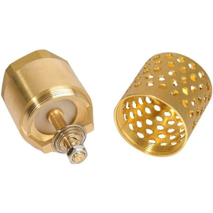 1 Inch Pump Check Valve - Foot Valve Strainer Check Valve (1 Inch) V1188-MS-227-1746
