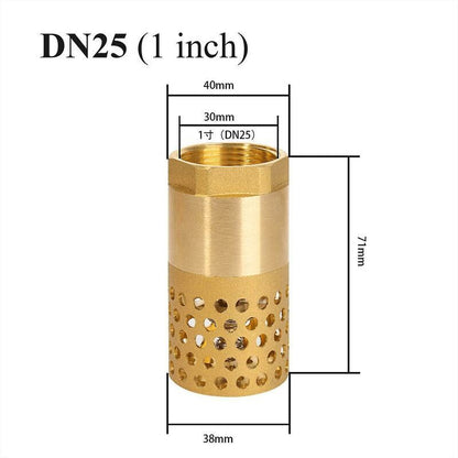 1 Inch Pump Check Valve - Foot Valve Strainer Check Valve (1 Inch) V1188-MS-227-1746