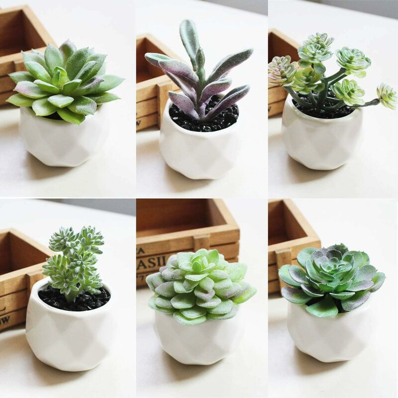 18 pcs Artificial Succulent Plants Flocking Potless Mini Fake Succulent Plants For Lotus Landscape Decorative V1188-MS-227-1919