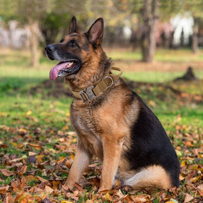 Tactical Dog Collar - Military Dog Collar With Control Handle, Adjustable Nylon Padded Dog Collar For Medium V1188-MS-227-1981