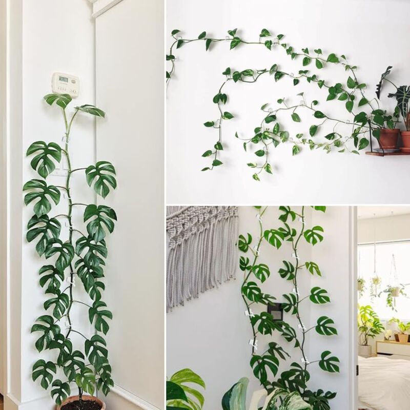 100 pcs Climbing Plant Support Clip, Wall Plant Clip, Vine Wall Clip, Clip For Climbing Plants -White V1188-MS-227-2092