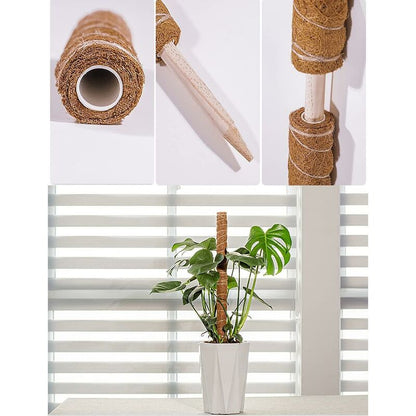 2 pcs Plant Stake, Coco Stake, Coco Pole, Coco Stick For Home Garden Climbing Plants Plant Support Extension V1188-MS-227-2172