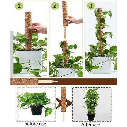 2 pcs Plant Stake, Coco Stake, Coco Pole, Coco Stick For Home Garden Climbing Plants Plant Support Extension V1188-MS-227-2172