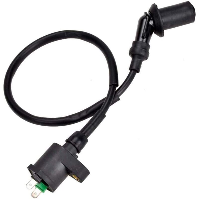 Ignition Coil For Gy6 50Cc 125Cc 150Cc Motorcycle V1188-MS-227-2446