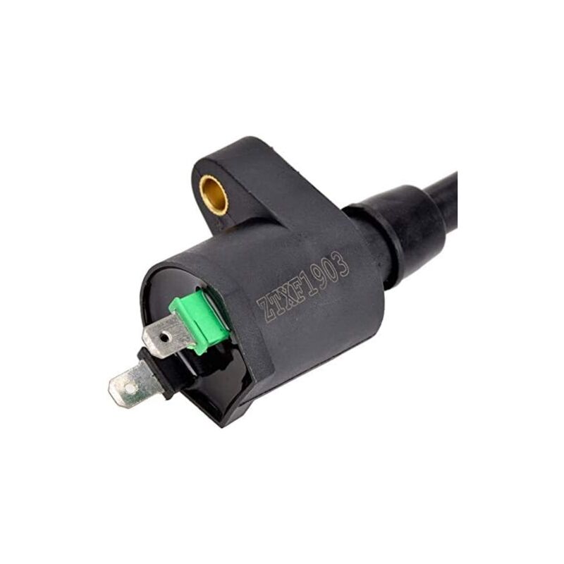 Ignition Coil For Gy6 50Cc 125Cc 150Cc Motorcycle V1188-MS-227-2446