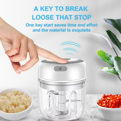 Cordless Electric Food Chopper, Mini Food Processor, 250Ml, Easy To Clean And Replace, Durable Electric V1188-MS-227-2588
