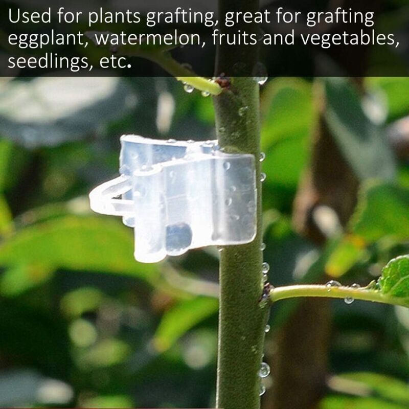 Gardening Grafting Clips 100 pcs Plastic Grafting Support Garden Clip Vegetable Vine Tomato Fruit Trees Mini V1188-MS-227-2628