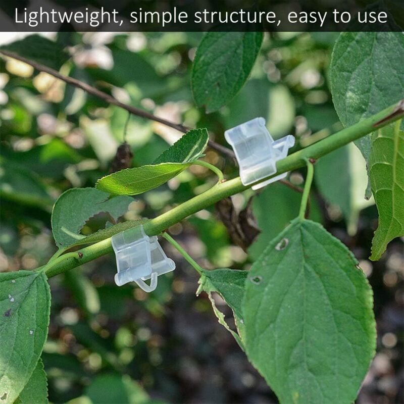 Gardening Grafting Clips 100 pcs Plastic Grafting Support Garden Clip Vegetable Vine Tomato Fruit Trees Mini V1188-MS-227-2628