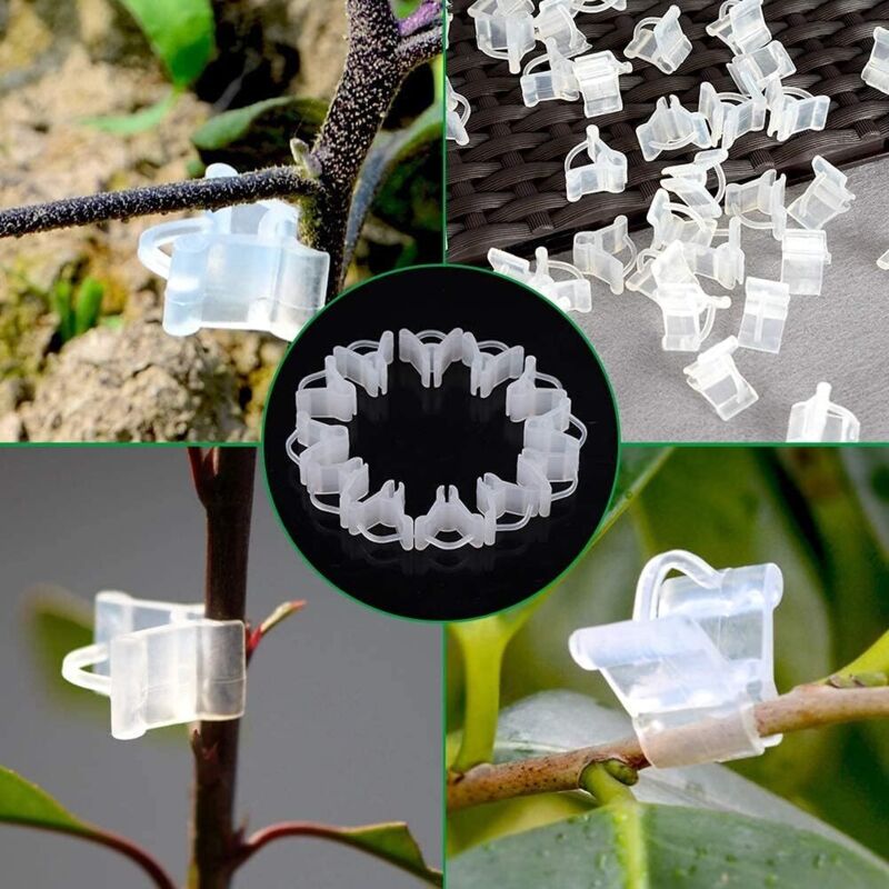 Gardening Grafting Clips 100 pcs Plastic Grafting Support Garden Clip Vegetable Vine Tomato Fruit Trees Mini V1188-MS-227-2628
