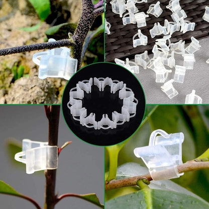 Gardening Grafting Clips 100 pcs Plastic Grafting Support Garden Clip Vegetable Vine Tomato Fruit Trees Mini V1188-MS-227-2628
