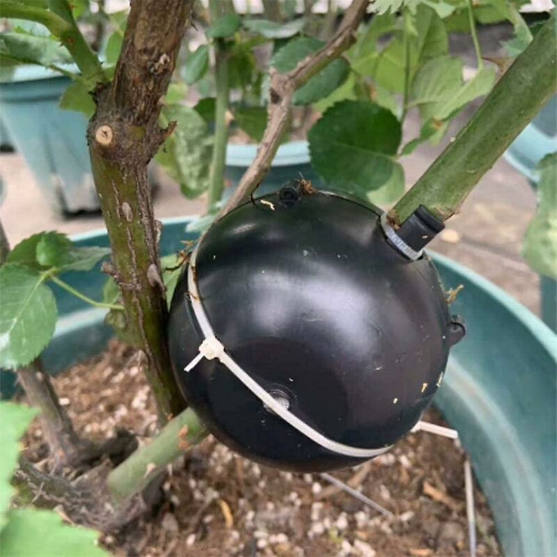 Plant ROoting Device Plant ROot Ball Plant ROoting Ball,Plant ROot Grafting Box For ROses,Trees,Fruit Shrubs V1188-MS-227-2731
