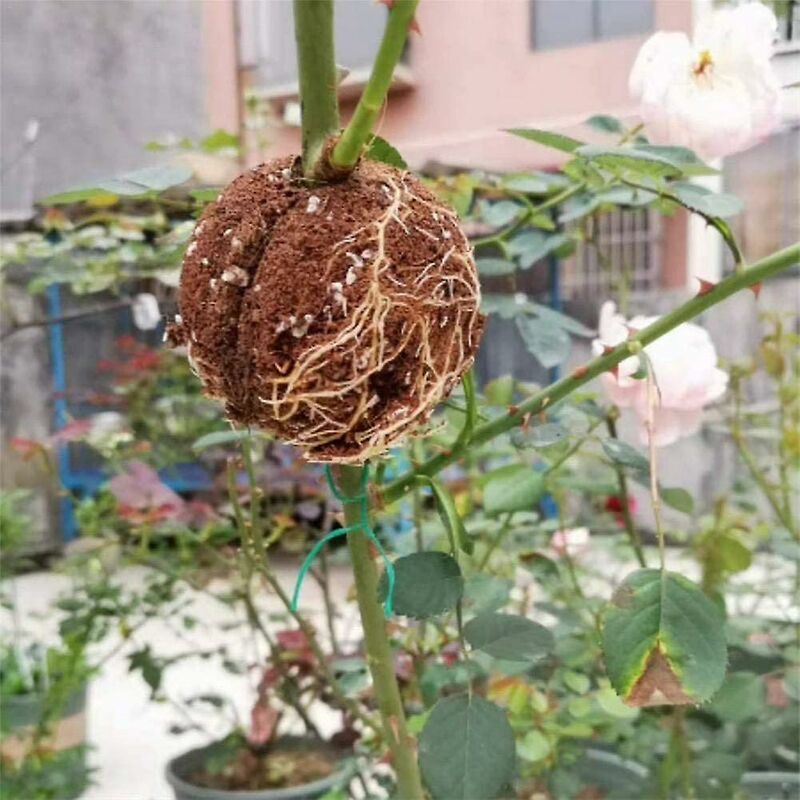 Plant ROoting Device Plant ROot Ball Plant ROoting Ball,Plant ROot Grafting Box For ROses,Trees,Fruit Shrubs V1188-MS-227-2731
