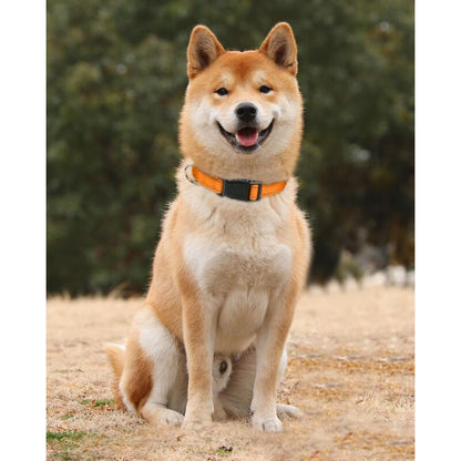 Dog Collar, Classic Adjustable Reflective Nylon Collar Suitable For Medium Dogs, Orange, 2.5Cm Width V1188-MS-227-2770
