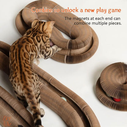 Magic Organ Interactive Scratching Toy - The Ultimate Interactive Mental And Physical Exercise For Indoor Cats V1188-MS-227-2780