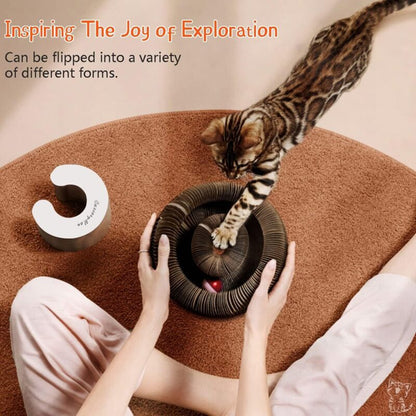 Magic Organ Interactive Scratching Toy - The Ultimate Interactive Mental And Physical Exercise For Indoor Cats V1188-MS-227-2780