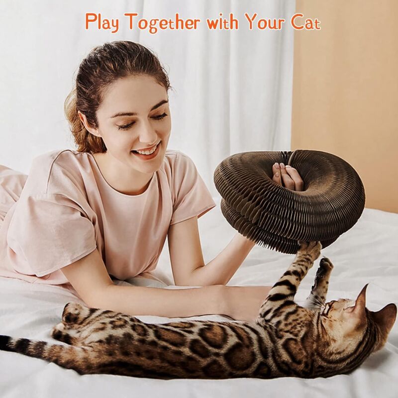 Magic Organ Interactive Scratching Toy - The Ultimate Interactive Mental And Physical Exercise For Indoor Cats V1188-MS-227-2780