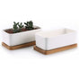 17Cm Ceramic Succulent Pot With Bamboo Tray White 2 pcs Set, Cactus Planter Cache Pot Jardiniere Container V1188-MS-227-2781