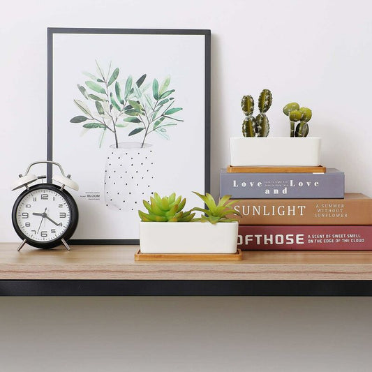 17Cm Ceramic Succulent Pot With Bamboo Tray White 2 pcs Set, Cactus Planter Cache Pot Jardiniere Container V1188-MS-227-2781