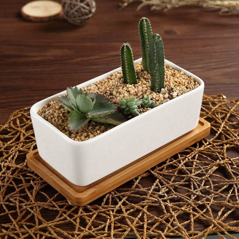 17Cm Ceramic Succulent Pot With Bamboo Tray White 2 pcs Set, Cactus Planter Cache Pot Jardiniere Container V1188-MS-227-2781