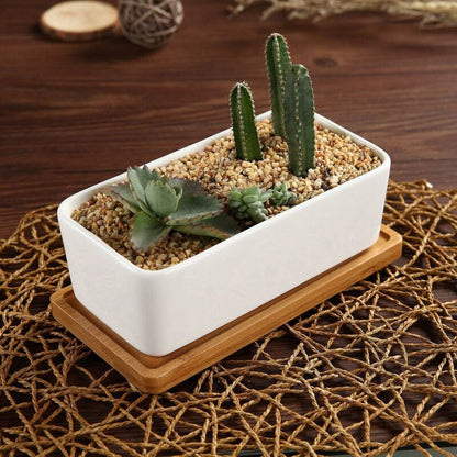 17Cm Ceramic Succulent Pot With Bamboo Tray White 2 pcs Set, Cactus Planter Cache Pot Jardiniere Container V1188-MS-227-2781