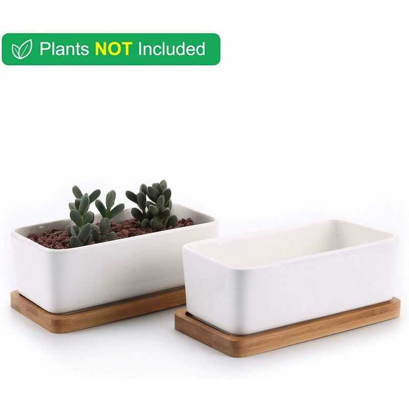 17Cm Ceramic Succulent Pot With Bamboo Tray White 2 pcs Set, Cactus Planter Cache Pot Jardiniere Container V1188-MS-227-2781