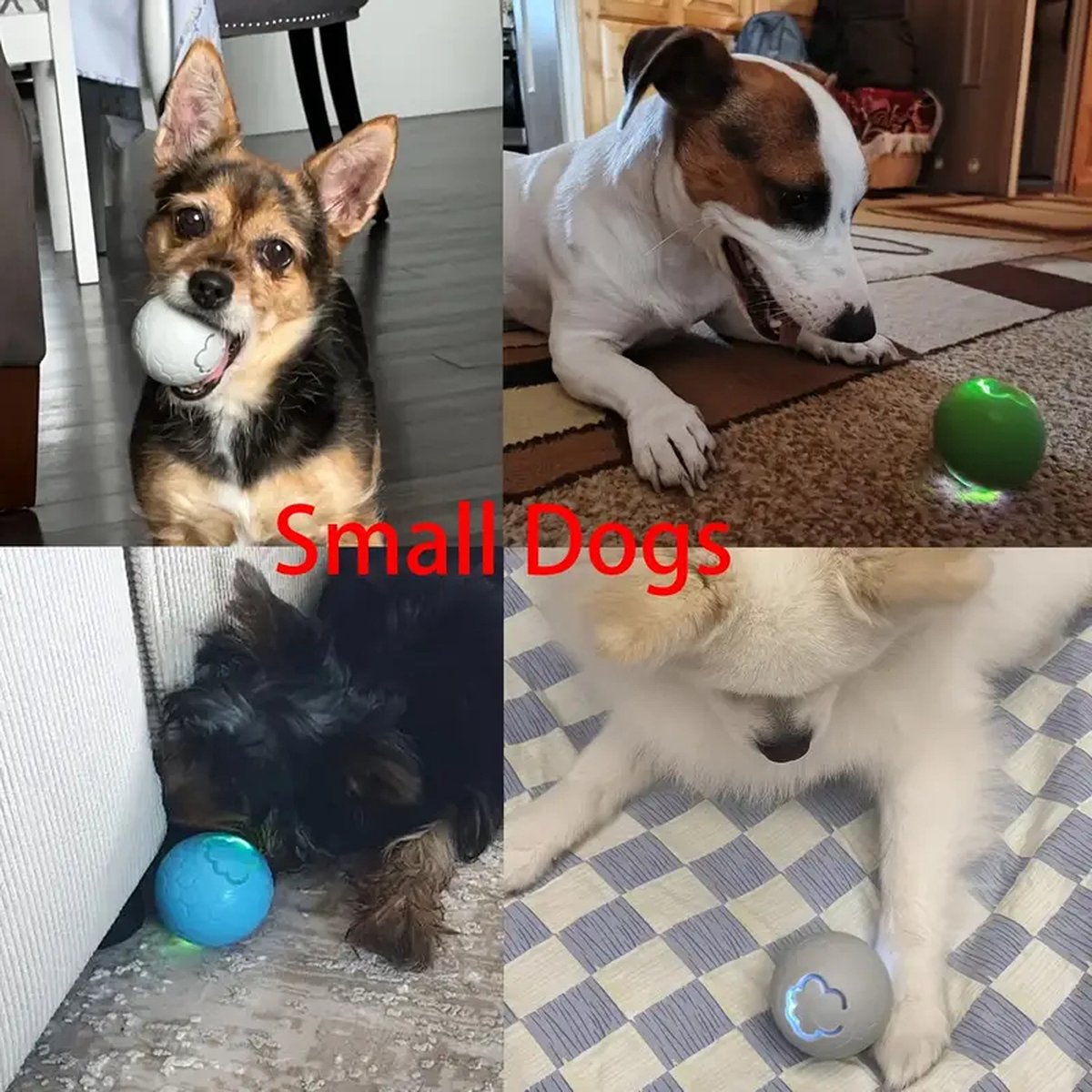 Interactive Dog Toy - Self-Rolling Dog Ball - Durable Automatic Dog Ball, Light Grey - 5.6 cm V1188-MS-313-0062