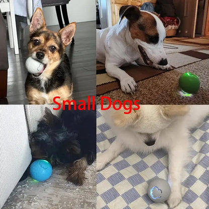 Interactive Dog Toy - Self-Rolling Dog Ball - Durable Automatic Dog Ball, Light Grey - 5.6 cm V1188-MS-313-0062