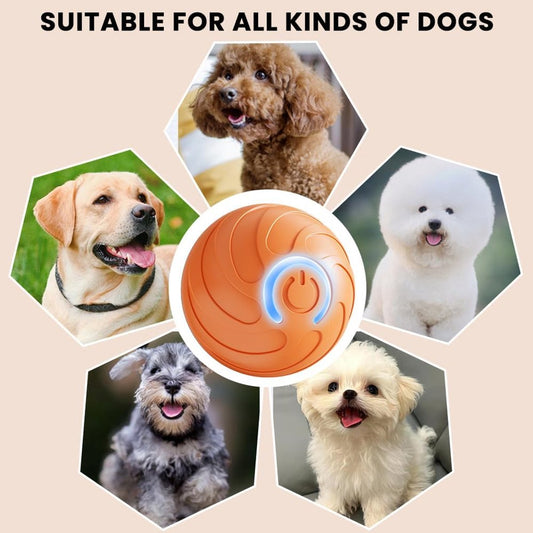 Pet Toys - Dog Toys - Interactive Dog Toys - Automatic Moving, Bouncing and Rotating Dog Ball - IPX7 V1188-MS-313-0380