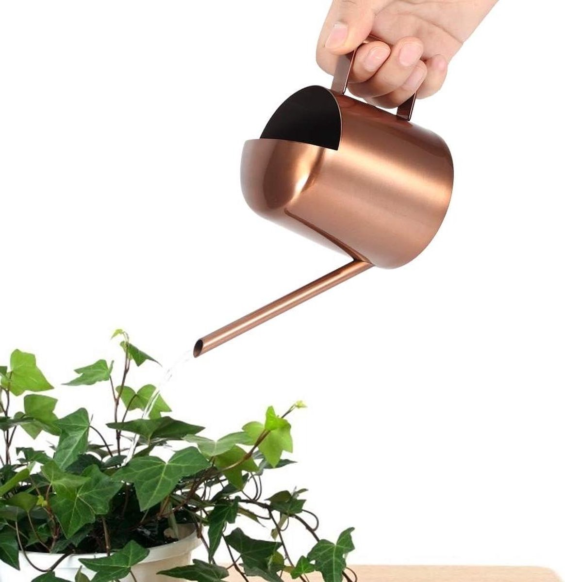 Small 300ml stainless steel watering can with long spout - ideal for flowers and household use V1188-MS-313-0422