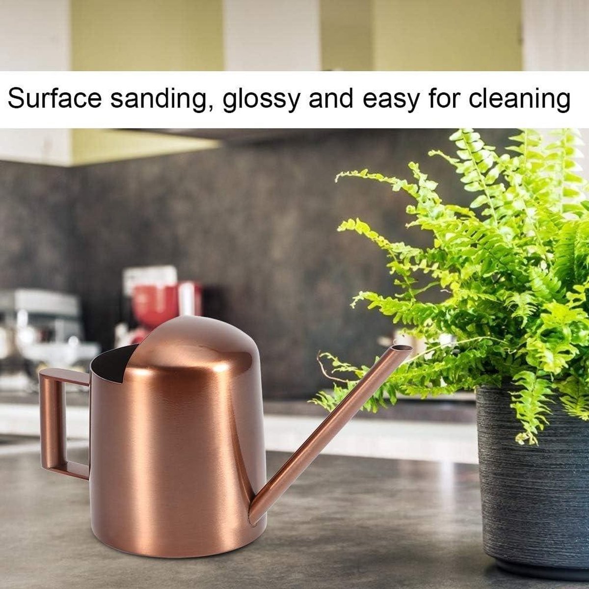 Small 300ml stainless steel watering can with long spout - ideal for flowers and household use V1188-MS-313-0422