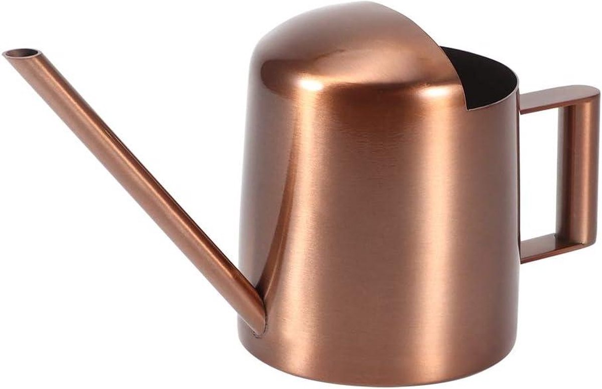 Small 300ml stainless steel watering can with long spout - ideal for flowers and household use V1188-MS-313-0422