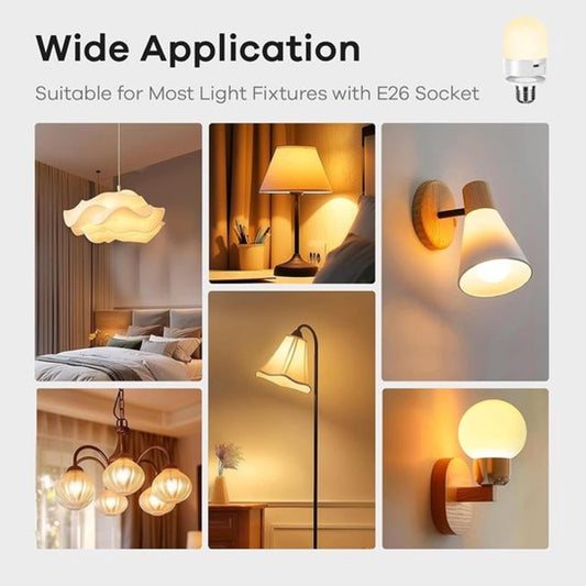 Set of 2 USB rechargeable bulbs with remote control - Battery-operated lamp bulbs - Rechargeable RGB V1188-MS-313-0501