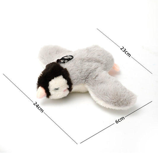 Cat Toys - Cat Toys with Catnip - Flappy Bird Cat Toy for Indoor Cats - Rechargeable - Electric Cat Toys - V1188-MS-313-0508